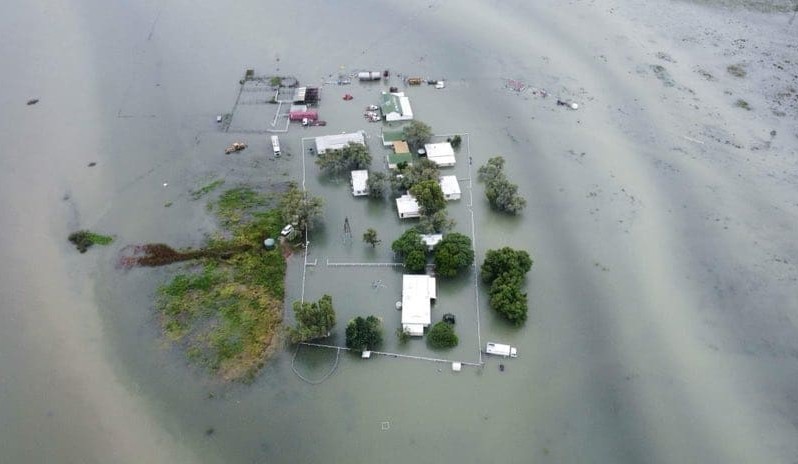 Gulf mayor says 100,000 head could be lost from floods