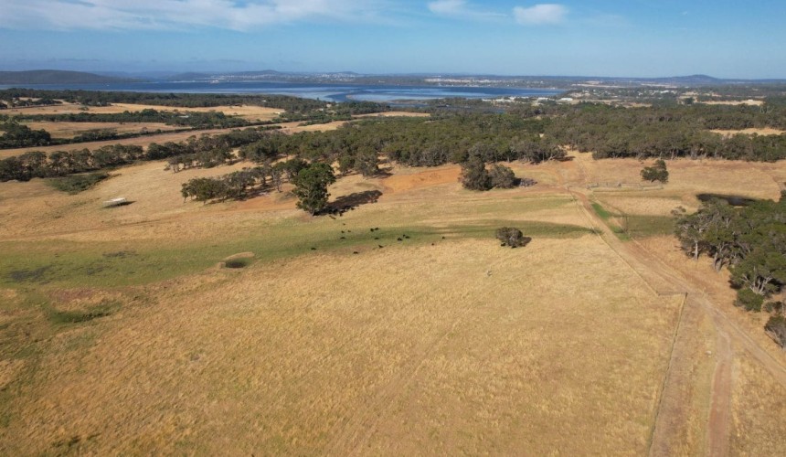 Weekly property review: Recently completed sales