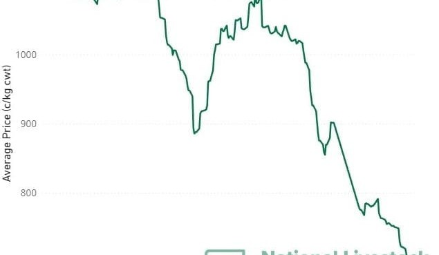 EYCI falls below 700c, reaching lowest point in two years