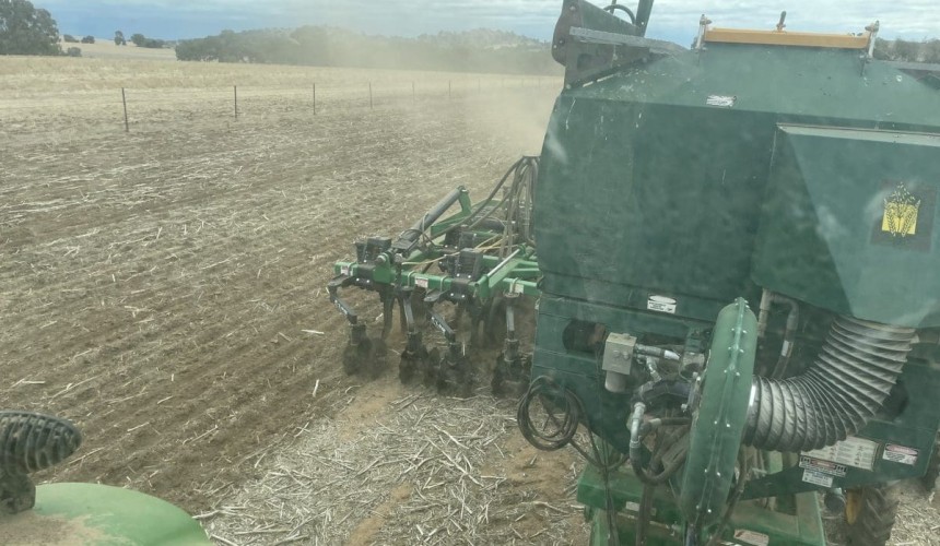 Feedgrain Focus: Markets flat as grower selling thins