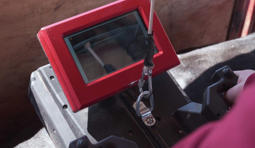 How MEQ Live is changing the game in cattle production + Video