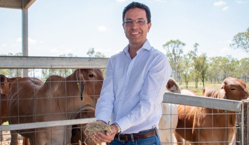 Simple test delivers cattle selection for nitrogen use efficiency