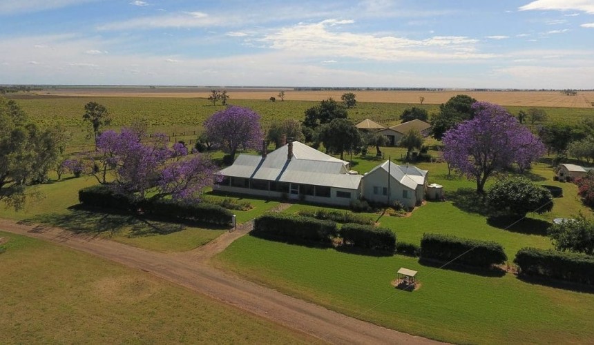 Dalby property purchase will power Belmont Red bull-breeding expansion
