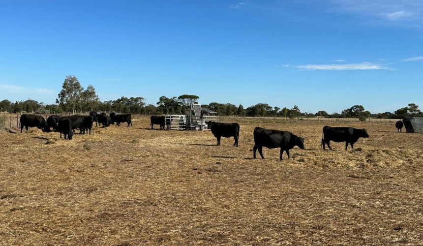 Methane breath testing to tackle emissions
