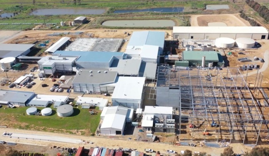 Beef processing capacity expansions pulling more northern cattle south
