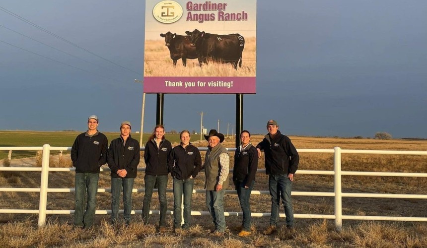 Exclusive AI breeding could boost Australian beef production