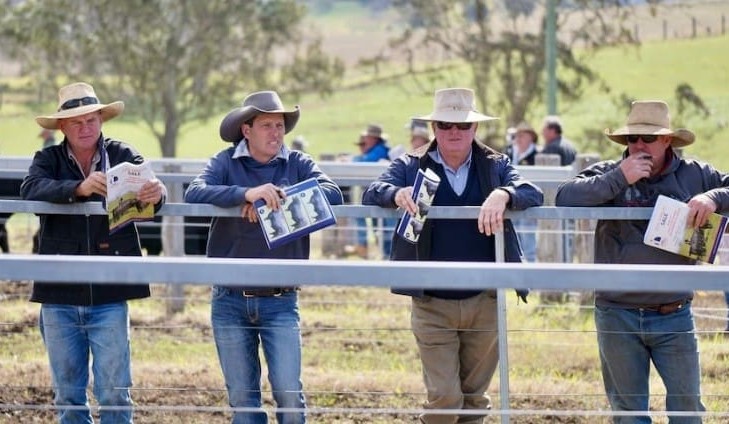Weekly genetics review: Presenting EBVs in a sale catalogue