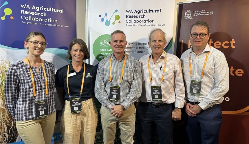 Northern WA project to examine cropping and cattle synergies