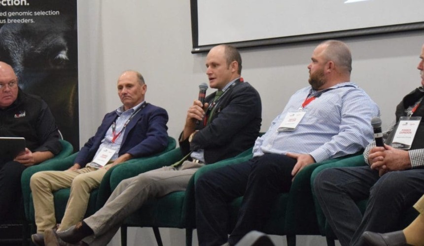 Geographic and carcase versatility dominate Angus conference talks