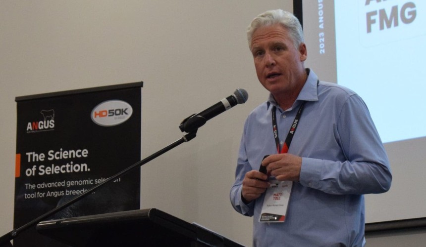 McDonald’s/FMG to keep increasing demand for Australian beef