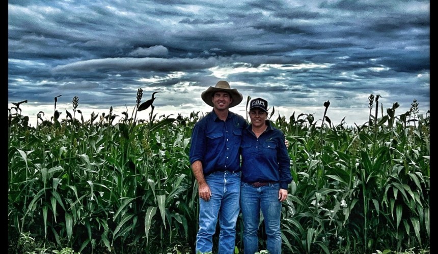 Oats and sorghum breaking new ground in Western Qld