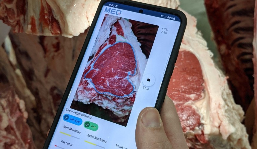 Video-based meat grading camera receives AusMeat tick of approval + VIDEO