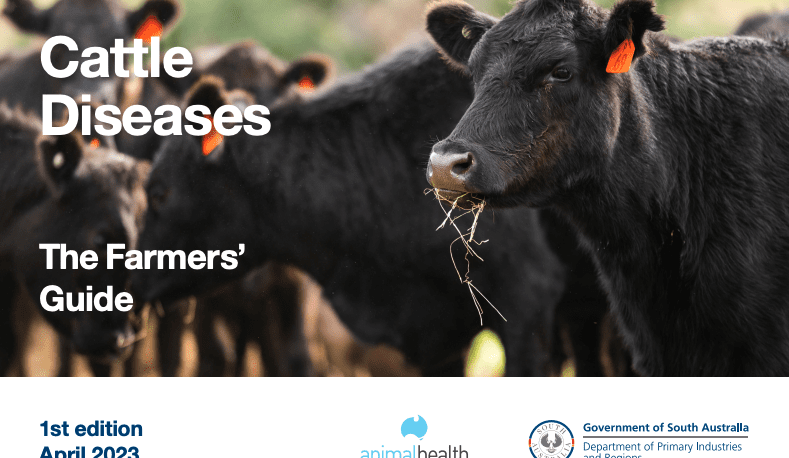 New Cattle Disease Guide launched for South Australian producers