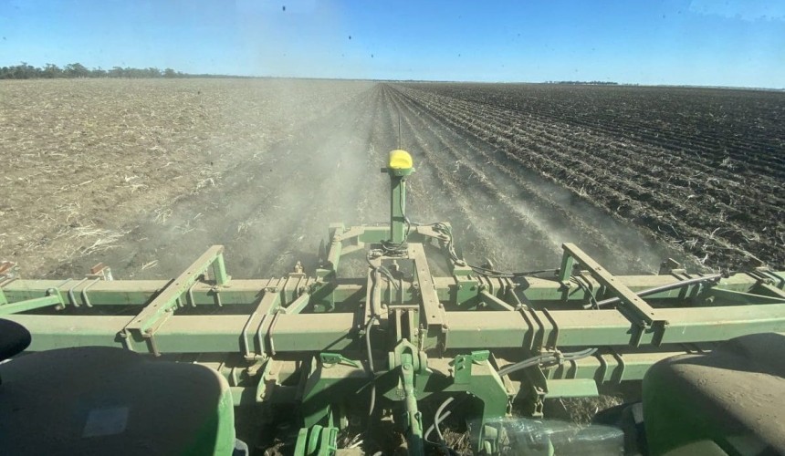 Feedgrain Focus: Sorghum drops into sights, season turns dry