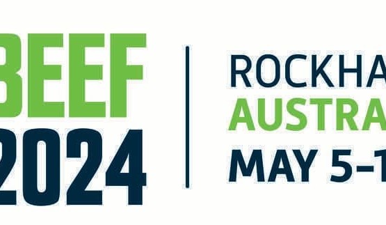 Beef Connections member’s journey towards Beef 2024: Being, Balancing and Building Brilliance