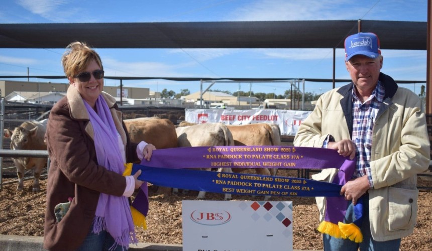 Impressive steers top 3kg/day in first stage of Paddock to Palate competition