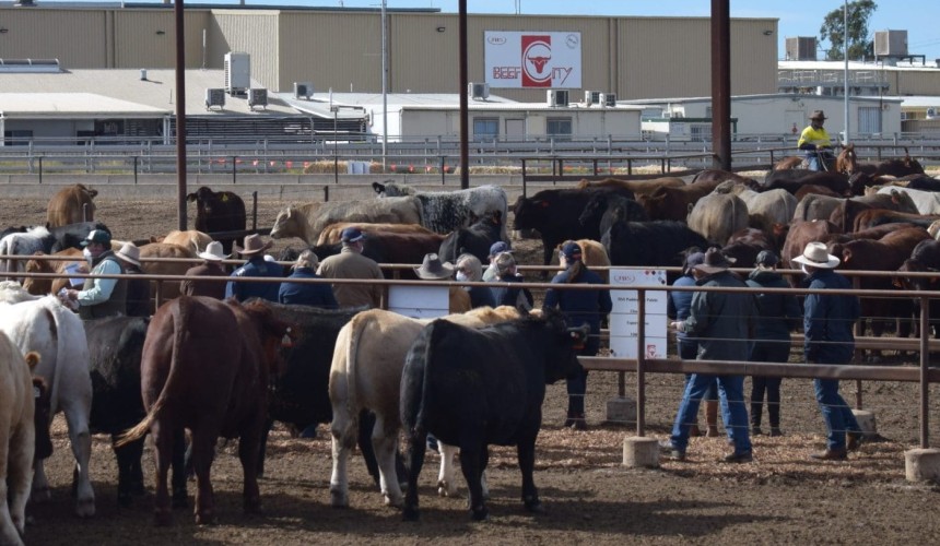 Will recent rain in the US open more beef markets for Australia?
