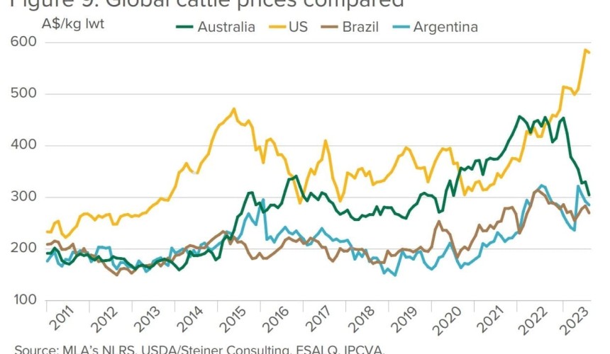 Yawning gap emerges between Aussie and US cattle prices