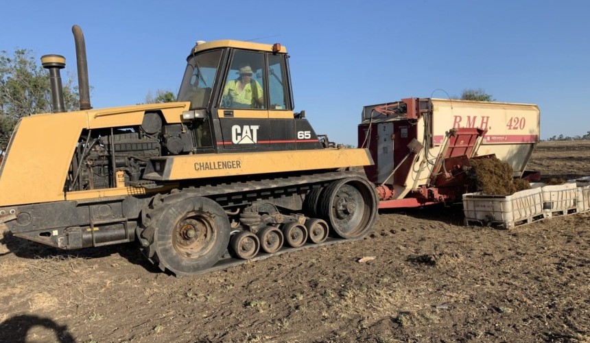 Silage plays valuable seasonal finishing role when northern processors are short of cattle