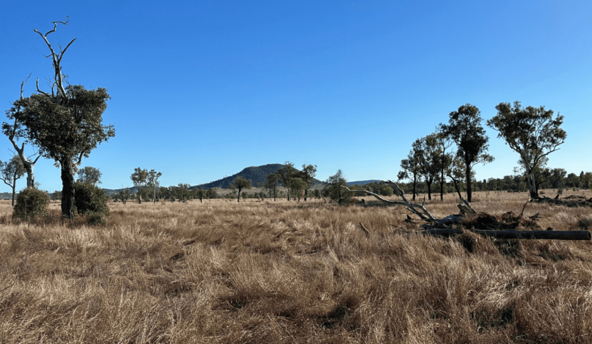 AgriProve puts up three properties for soil carbon research project