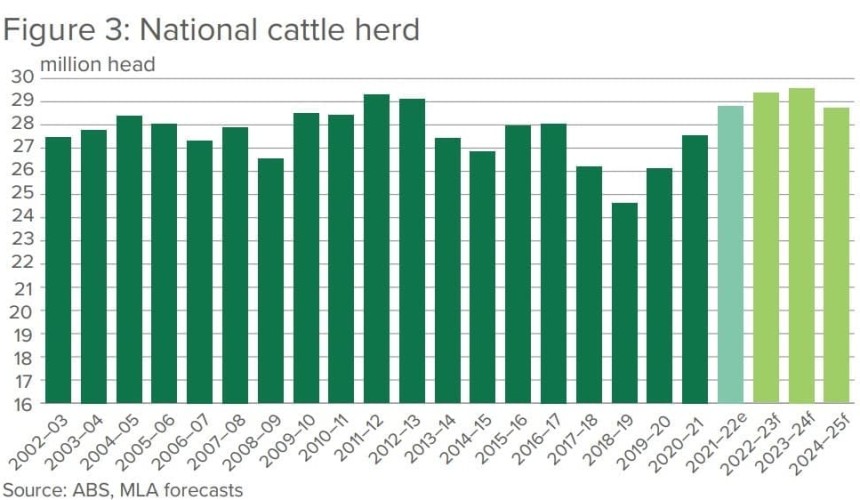 Slaughter numbers, beef production forecast to rise for remainder of 2023
