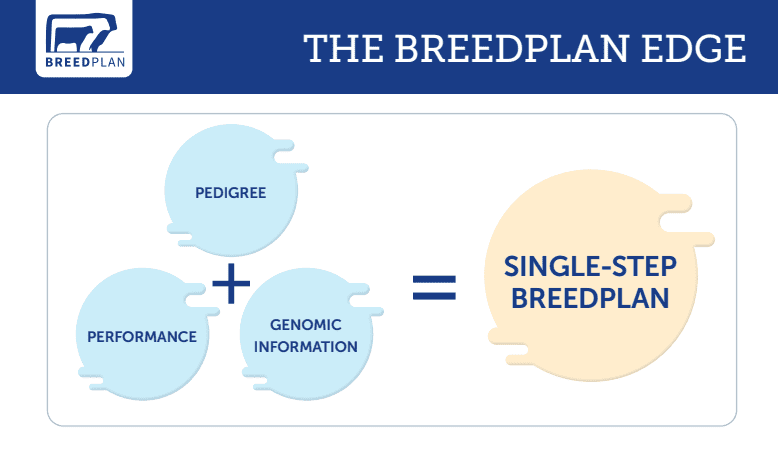 BreedPlan surpasses half a million genotypes per month