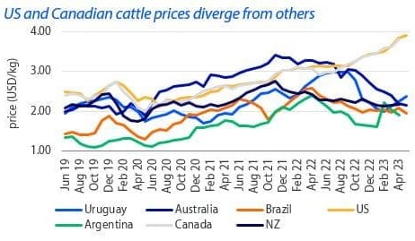 Global beef supply to remain balanced, but cattle prices diverge: Rabo
