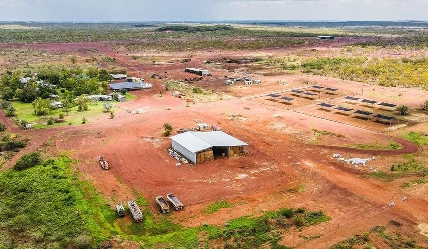 65yo dies in helicopter mustering accident on NT cattle station