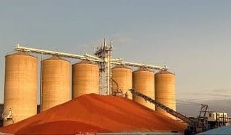 Feedgrain Focus: Markets firm as dry north throttles sales