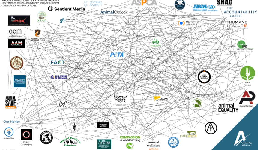 Report highlights links between anti-animal agriculture groups