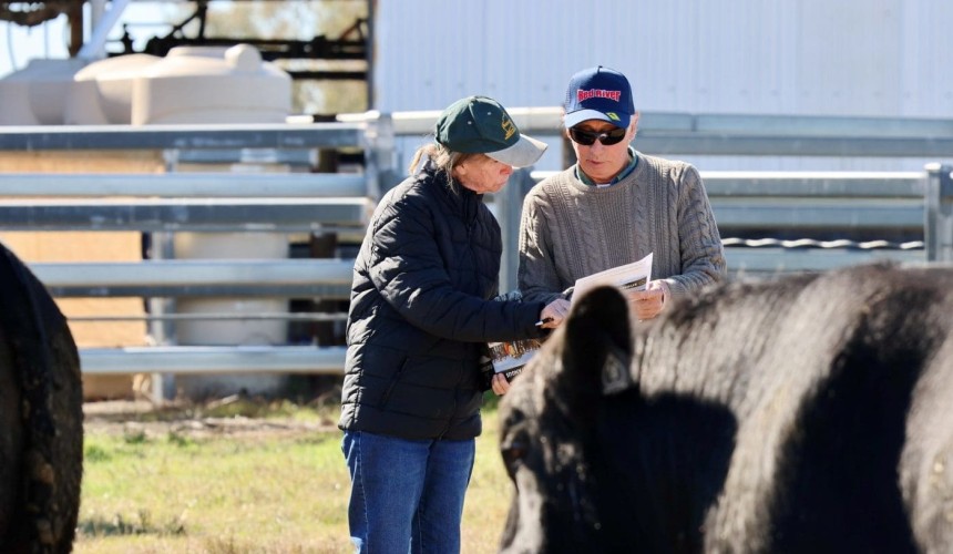 Weekly genetics review: Dealing with bull sale supplementary sheets