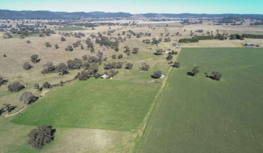Movement at the station: Recent property listings
