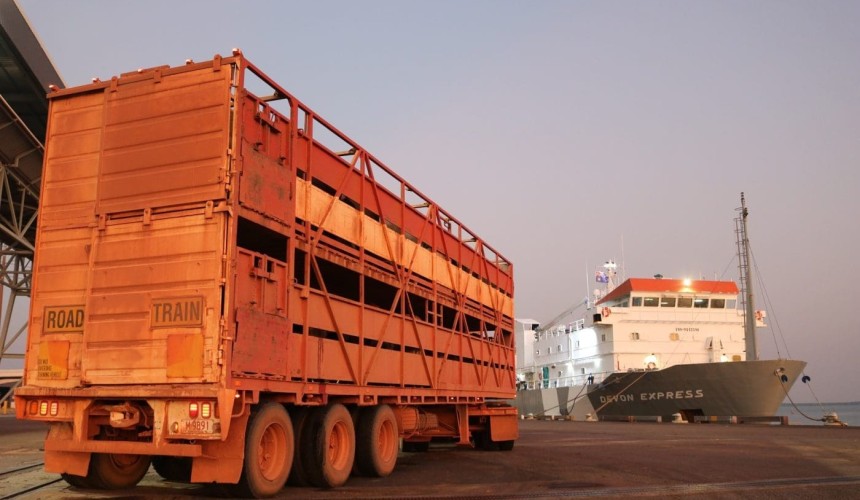 Indo permit release triggers busy livex start to 2025