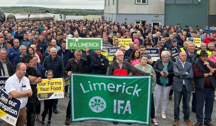 Irish farmers protest plans to cull 200,000 cows, Elon Musk weighs in
