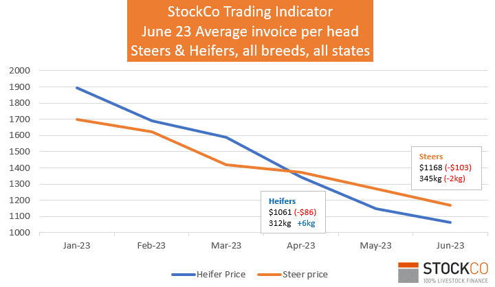 Chris Howie: The bull sale season is here