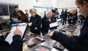 All red meat industry participants can add value through ICMJ