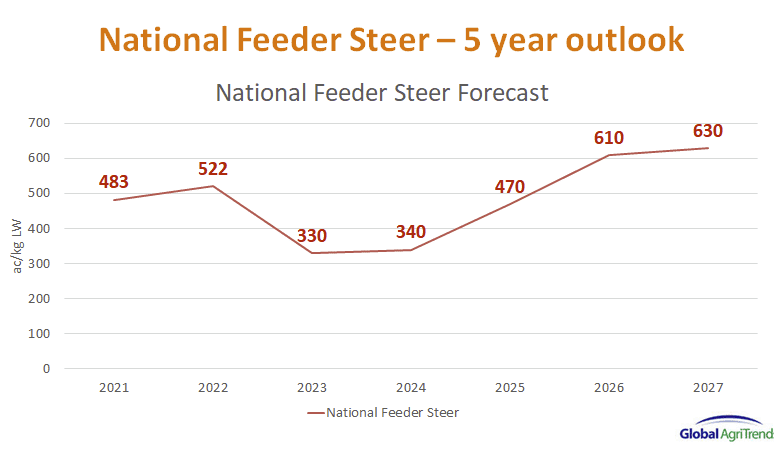 Why Simon Quilty has a bullish five year outlook for cattle prices