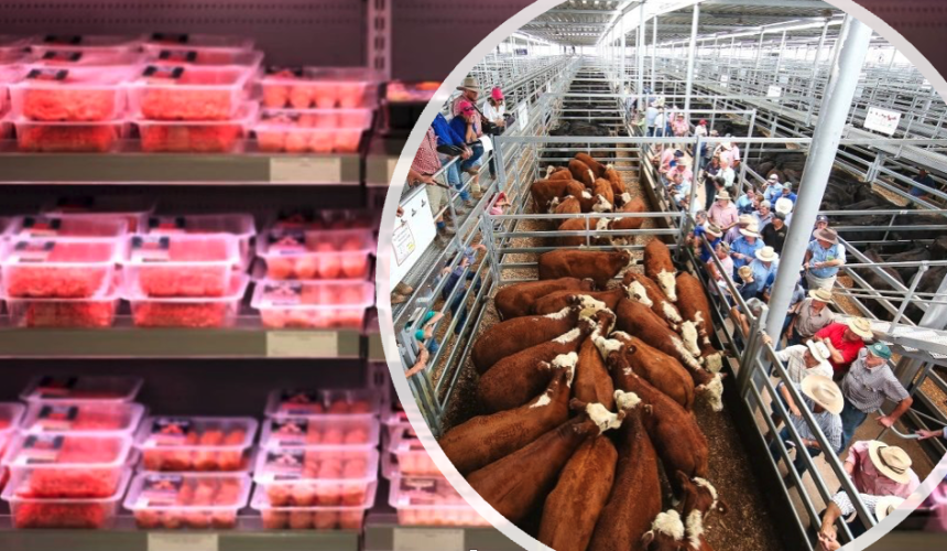 Supermarkets must help farmers keep food moving as fuel costs bite
