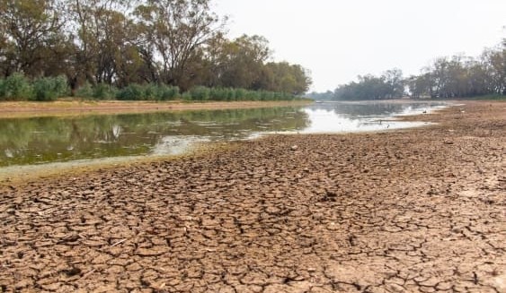 If El Niño is expected, why hasn’t it yet been declared in Australia?