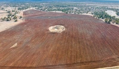 Dysart’s Mt Walker sells locally, Nyngan holdings list