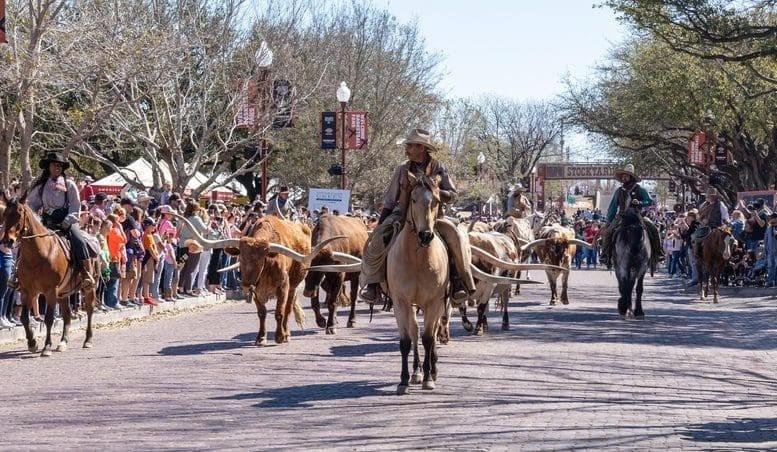 Bookings open for Beef Central’s 2024 US study tour