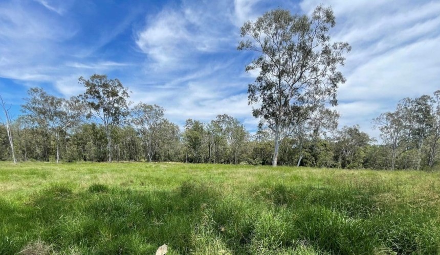 Soil carbon credits starting to flow with another project awarded