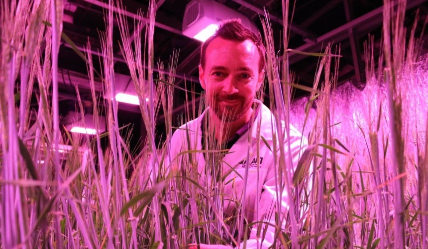 How AI can help turn data into food