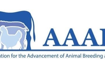 Southern Multi Breed data reveals fresh optimism for future fertility EBVs