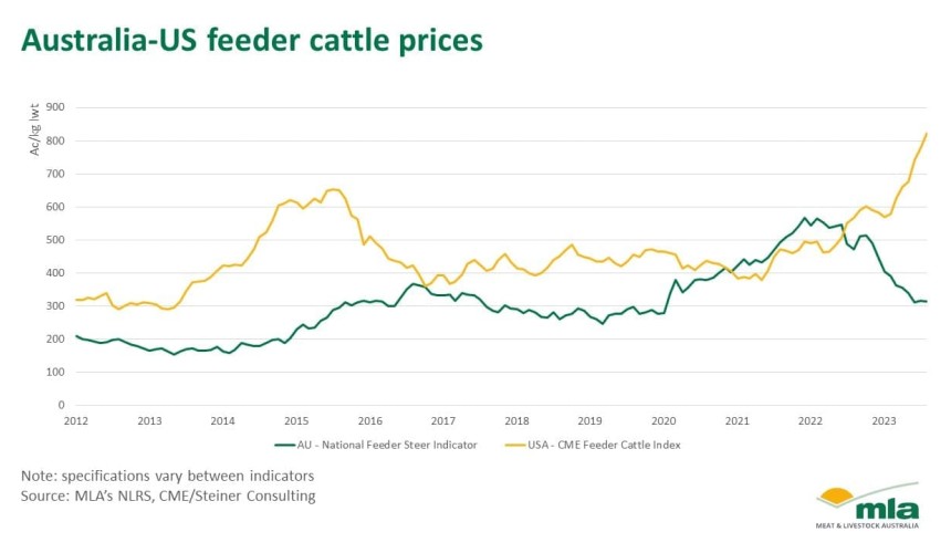 US feeder cattle now 250pc higher than Australian equivalents