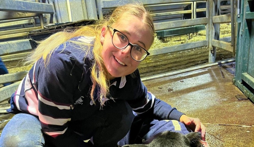 Cattle abortion study: Researchers seek input from industry stakeholders