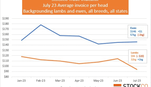 Chris Howie:  One cattle market, many thoughts