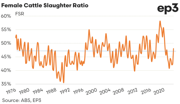 Female slaughter ratio points to return to beef herd liquidation