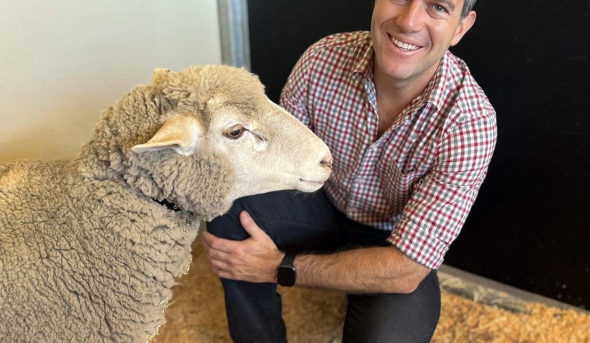 Animal health microchip technology ready for commercial trial