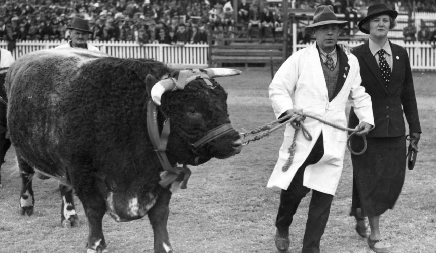 Legendary blind judge could “see” cattle with his hands